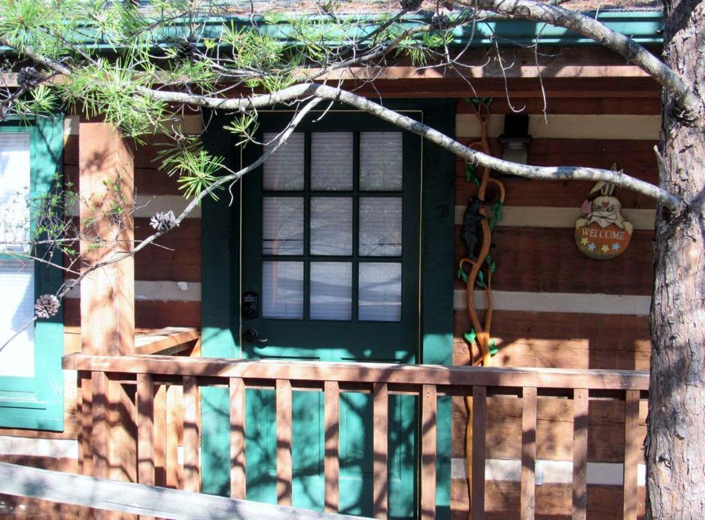 View! Cozy, Private, Fireplace, Hot Tub Log Cabin, Honeymoon! Sevierville Eksteriør bilde